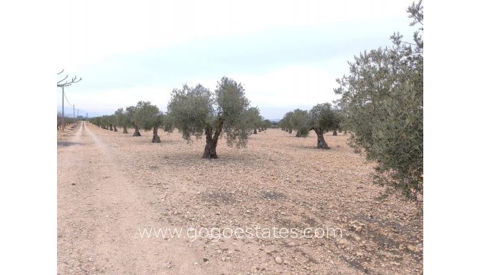 Te koop - Parcela - Yecla