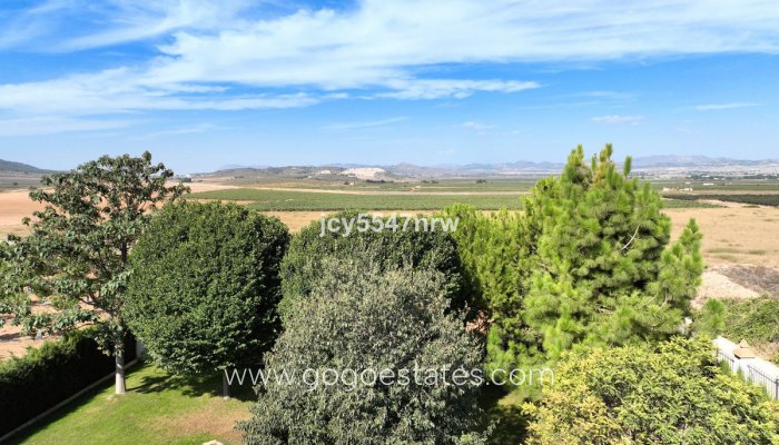 Resale - Finca rústica - Yecla