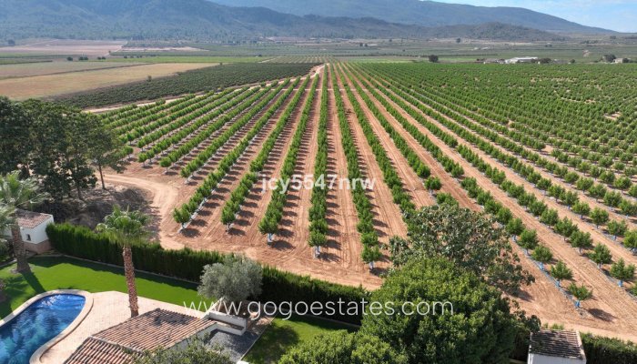 Resale - Finca rústica - Yecla