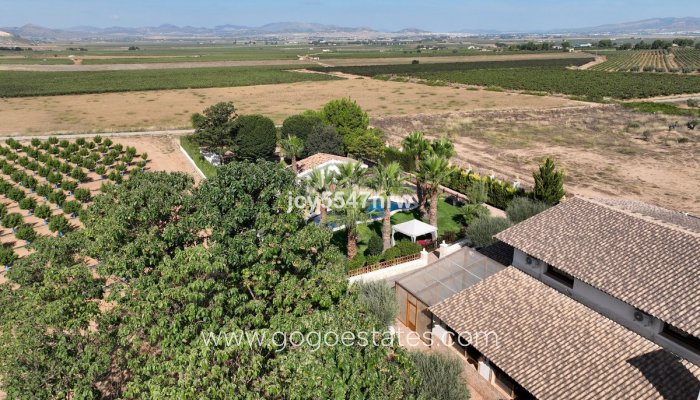 Resale - Finca rústica - Yecla