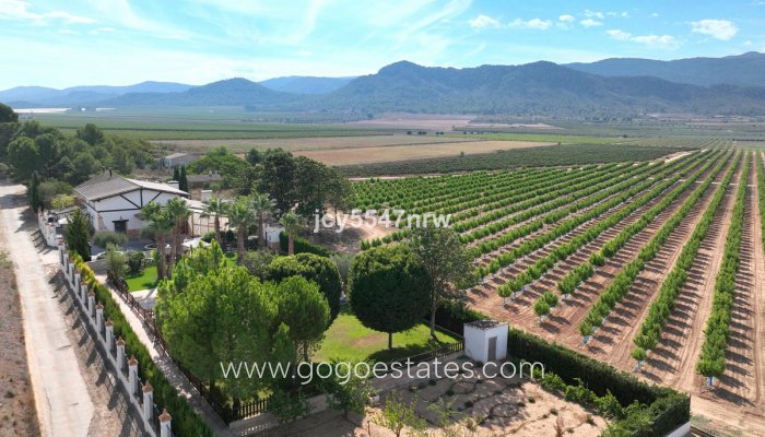 Resale - Finca rústica - Yecla