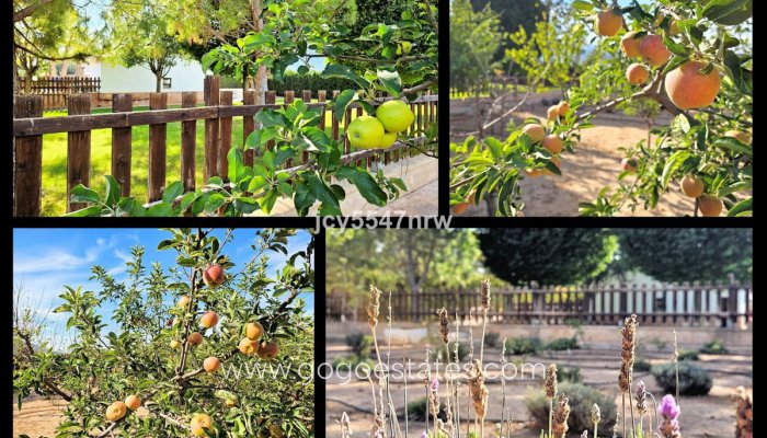 Resale - Finca rústica - Yecla