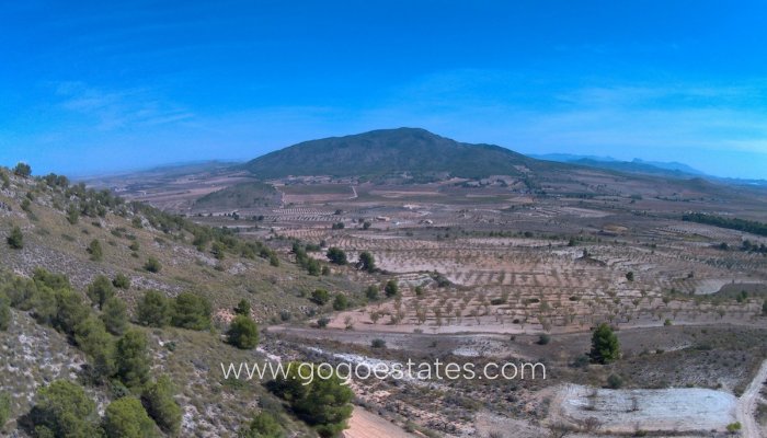 Venta - Parcela - Yecla