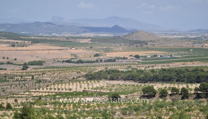 Venta - Parcela - Yecla