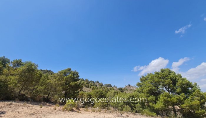 Venta - Parcela - Yecla