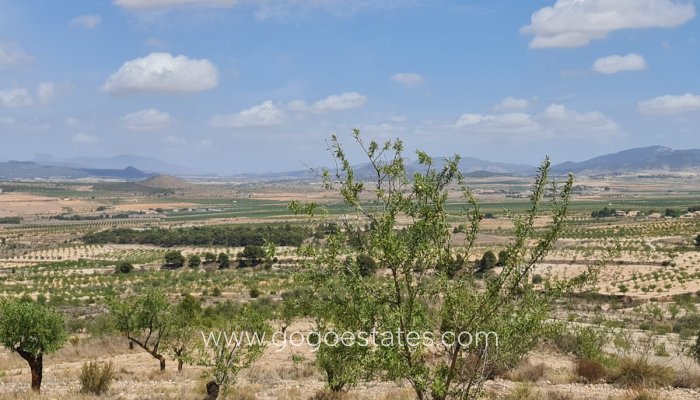 Venta - Parcela - Yecla