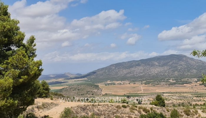 Venta - Parcela - Yecla