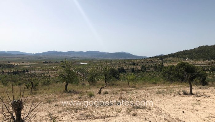 Venta - Parcela - Yecla