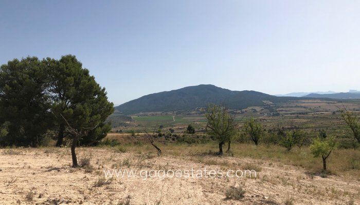 Venta - Parcela - Yecla