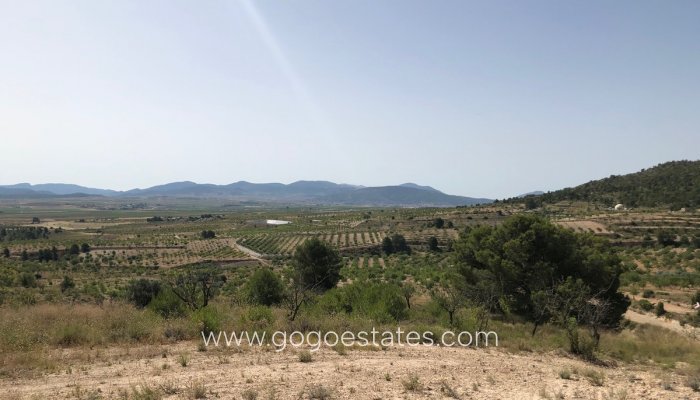 Venta - Parcela - Yecla