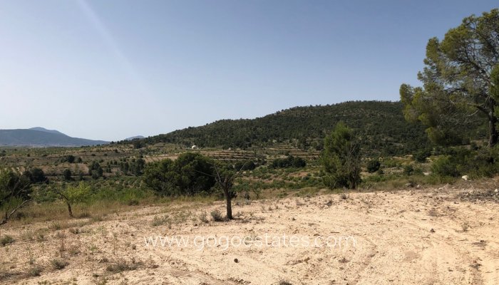 Venta - Parcela - Yecla