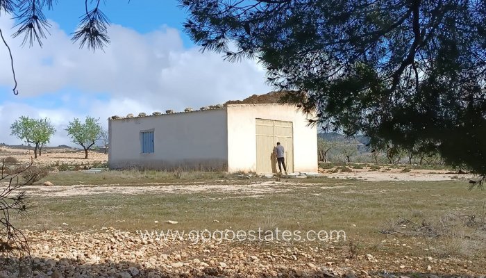 Revente - Parcela - Yecla