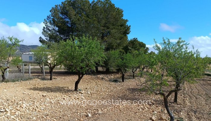 Revente - Parcela - Yecla