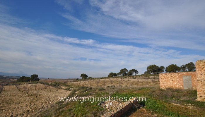 Resale - Finca rústica - Jumilla - Jumilla Centro