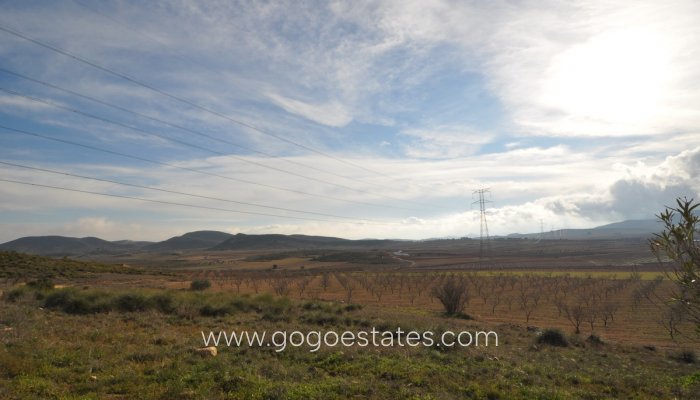 Resale - Finca rústica - Jumilla - Jumilla Centro