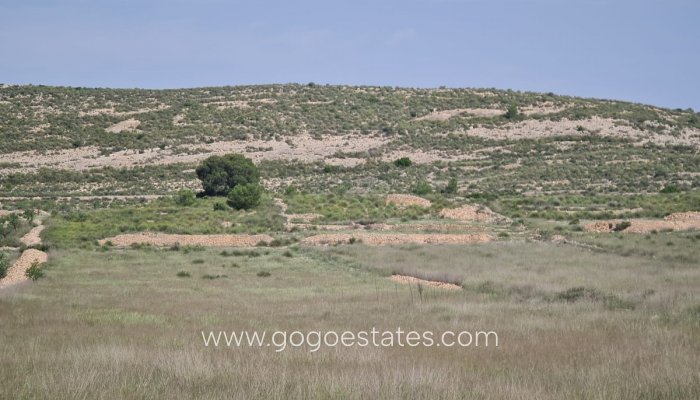 Resale - Parcela - Jumilla - Jumilla Centro