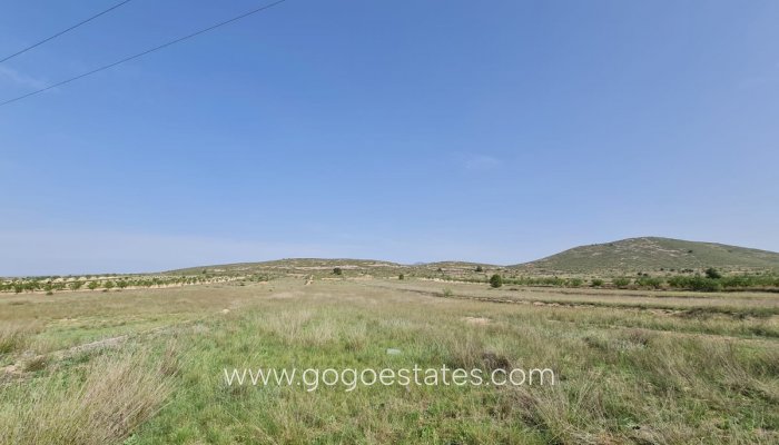 Resale - Parcela - Jumilla - Jumilla Centro