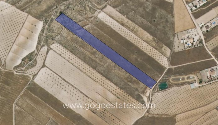 Resale - Parcela - Jumilla - Jumilla Centro