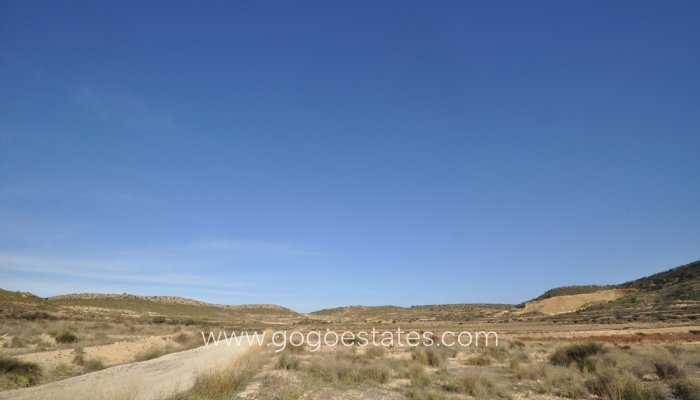 Venta - Parcela - Jumilla - Jumilla Centro