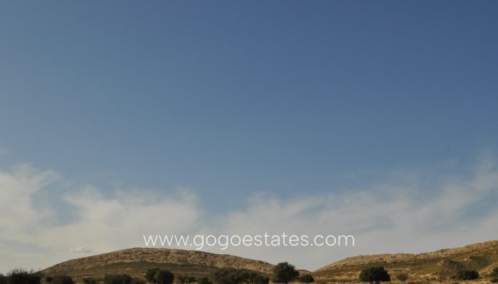 Venta - Parcela - Jumilla - Jumilla Centro