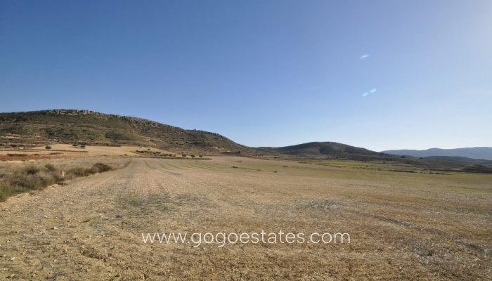 Venta - Parcela - Jumilla - Jumilla Centro