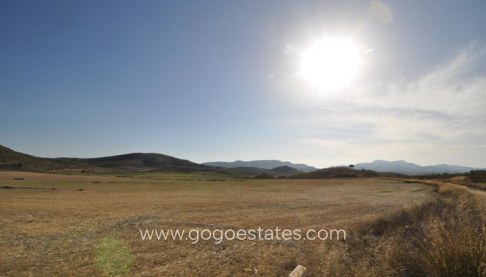 Venta - Parcela - Jumilla - Jumilla Centro