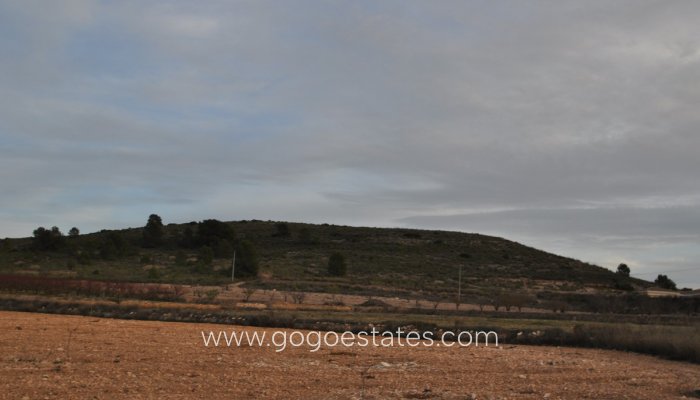 Resale - Parcela - Jumilla - Cañada del Trigo