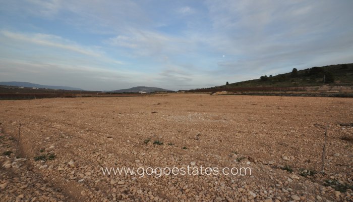 Resale - Parcela - Jumilla - Cañada del Trigo