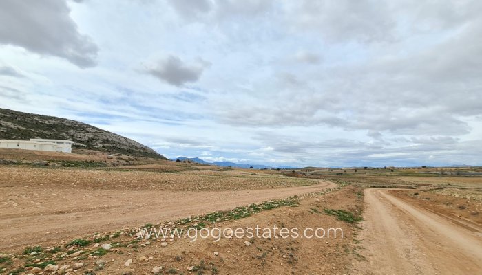 Resale - Parcela - Jumilla - Torre del Rico