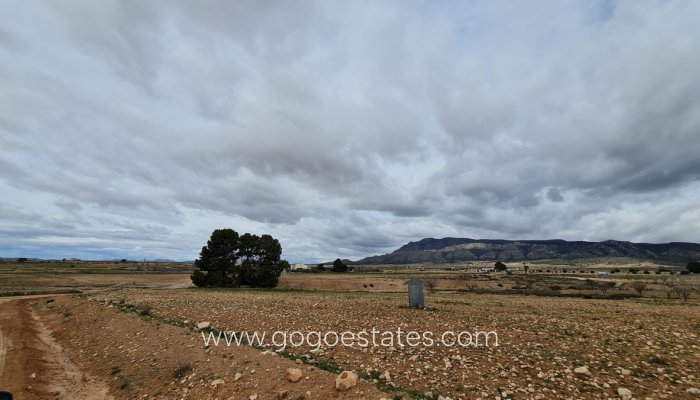 Resale - Parcela - Jumilla - Torre del Rico