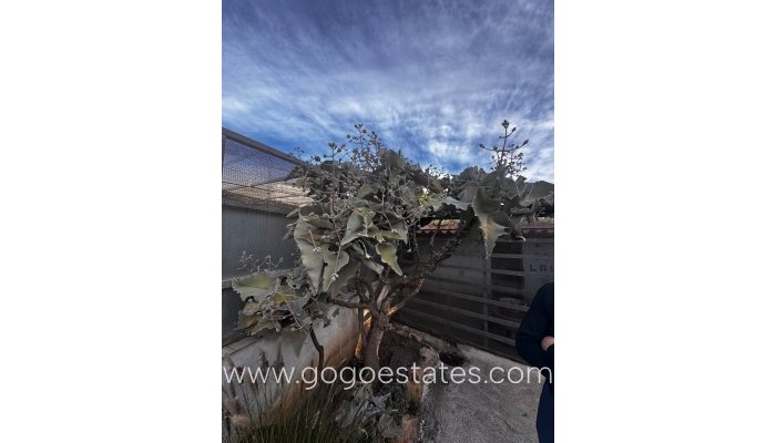 Venta - Casa - Finca - Cortijo - Aguilas - Las Majadas-Las Molinetas-Labradorcico