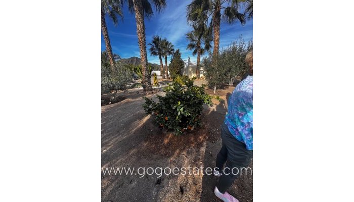 Venta - Casa - Finca - Cortijo - Aguilas - Las Majadas-Las Molinetas-Labradorcico