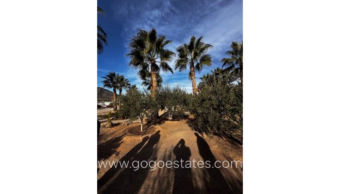 Venta - Casa - Finca - Cortijo - Aguilas - Las Majadas-Las Molinetas-Labradorcico
