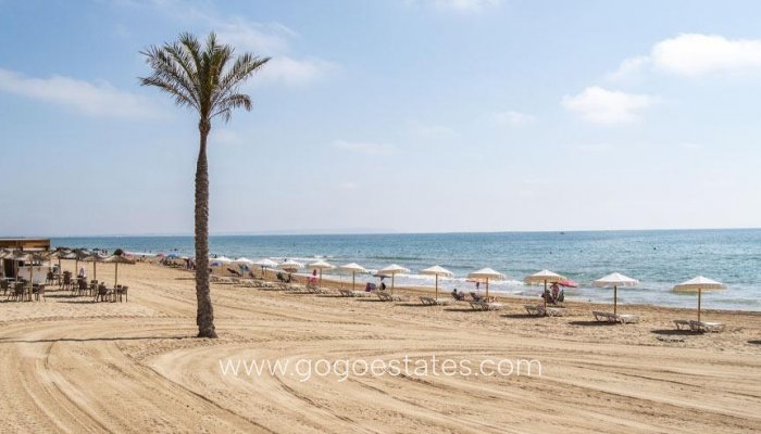 Obra Nueva - Atico - Guardamar del Segura - Pueblo