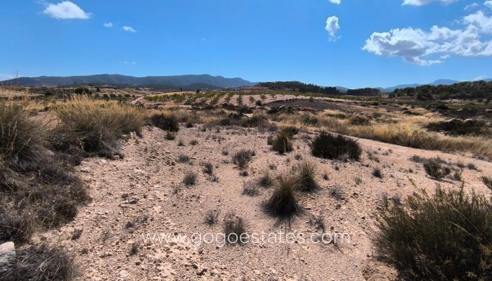 Resale - Parcela - Jumilla - Jumilla Centro