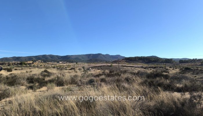 Resale - Parcela - Jumilla - Jumilla Centro