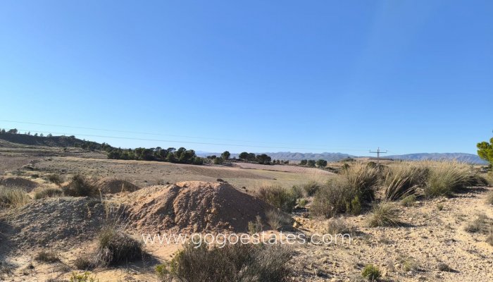 Resale - Parcela - Jumilla - Jumilla Centro