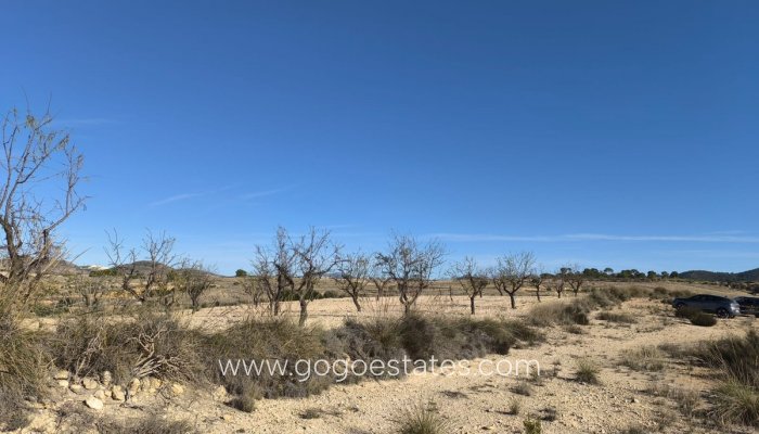 Resale - Parcela - Jumilla - Jumilla Centro