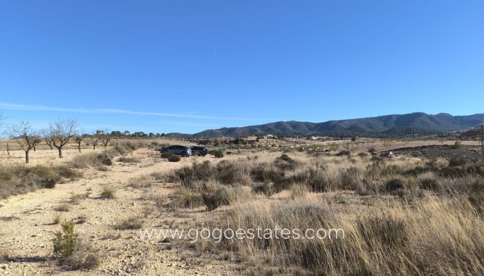 Resale - Parcela - Jumilla - Jumilla Centro