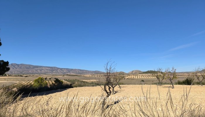 Resale - Parcela - Jumilla - Jumilla Centro