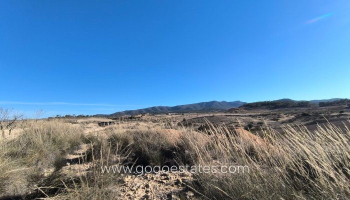 Resale - Parcela - Jumilla - Jumilla Centro