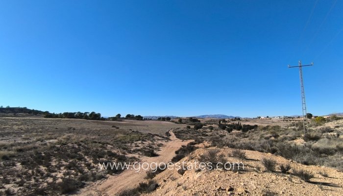 Resale - Parcela - Jumilla - Jumilla Centro