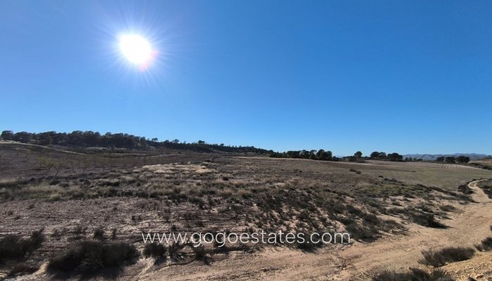 Resale - Parcela - Jumilla - Jumilla Centro