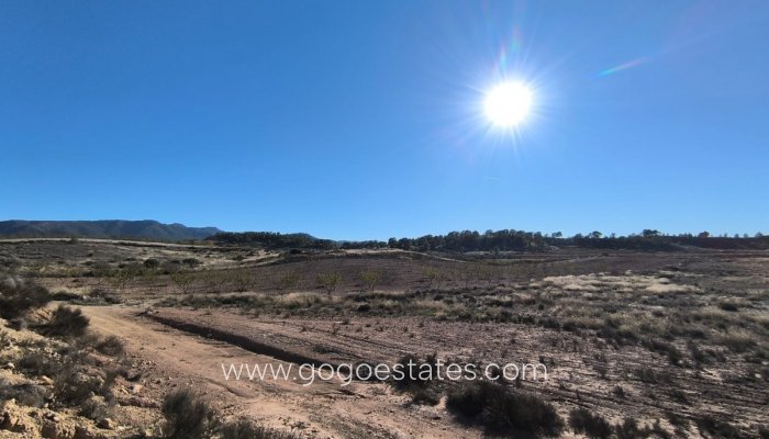 Resale - Parcela - Jumilla - Jumilla Centro