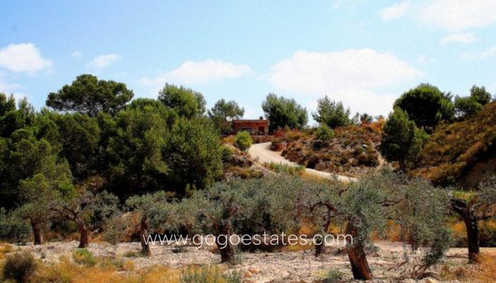 Resale - Finca rústica - San Javier - Roda