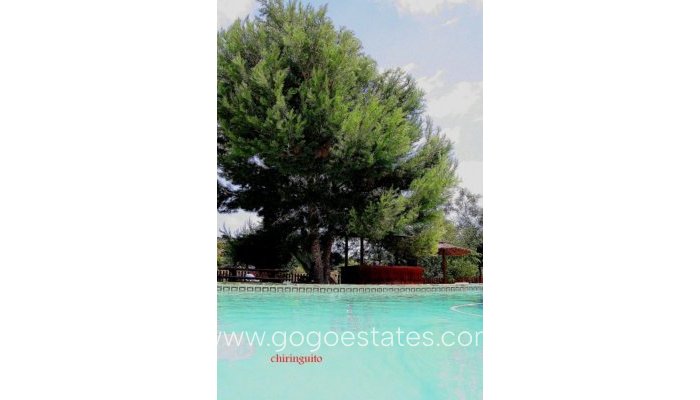 Resale - Finca rústica - San Javier - Roda