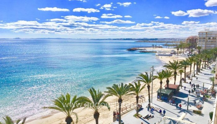 New Build - Bungalow - Torrevieja - Lago Jardín II