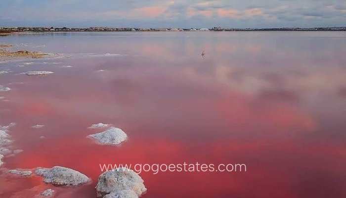 New Build - Bungalow - Torrevieja - Lago Jardín II