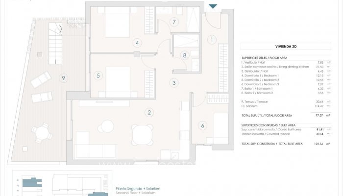 New Build - Penthouse - Benijofar - Pueblo