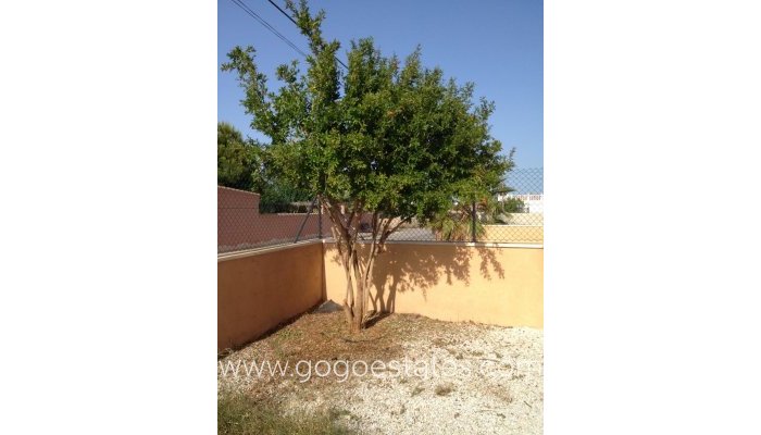 Wiederverkauf - Wohnung - Wohnung im Erdgeschoss - Orihuela - La Zenia- Orihuela costa